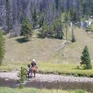 Meet your Posher, Spencer